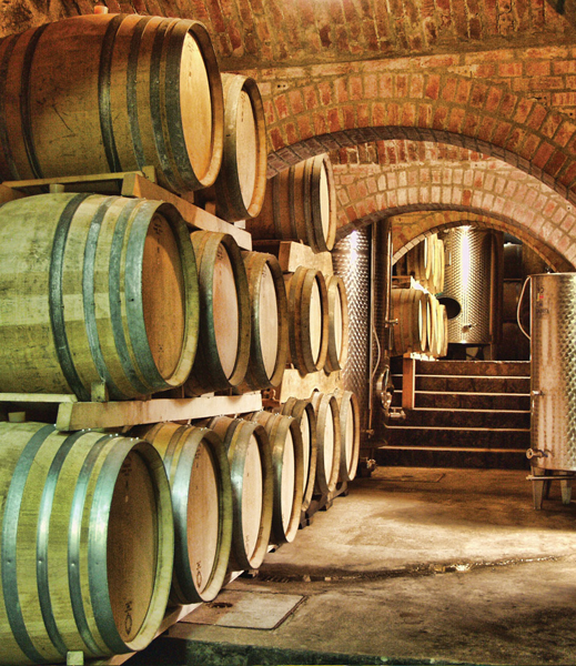 Barrique-Keller von Vlado Krauthaker in Kutjevo