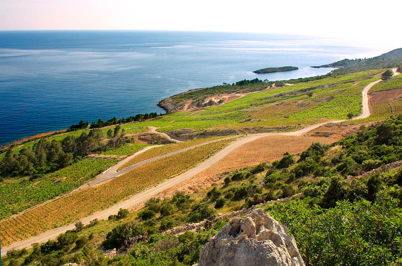 Perfekt für Plavac mali - Die Lage Dingac