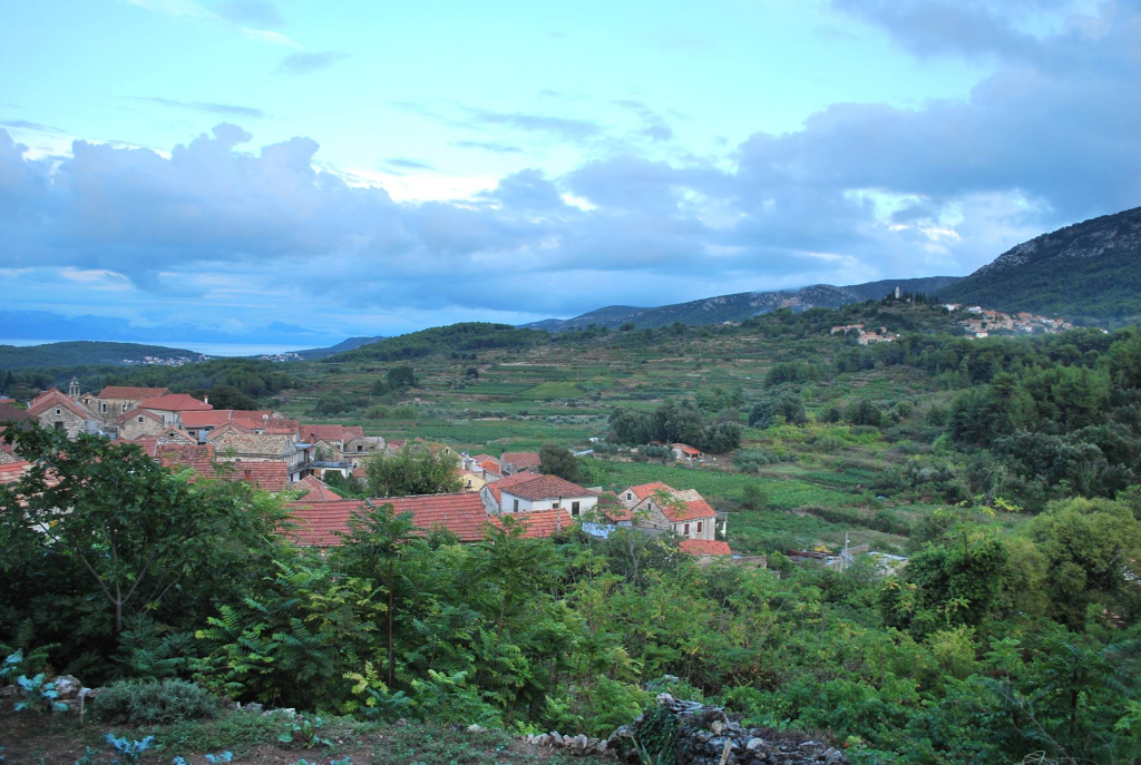Weingärten mit Blick